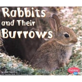 Rabbits and Their Burrows (Animal Homes Hardback) by Linda Tagliaferro